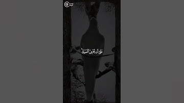 #سورة_الأحقاف #ياسر_الدوسري #راحة_نفسية #نامه_ك_ژ_قورئانئ