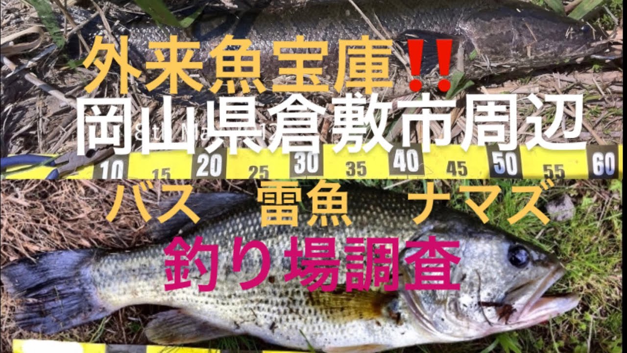 釣り場調査 外来魚 宝庫岡山県倉敷市周辺 May 12 Youtube 釣り場調査 外来魚 宝庫岡山県倉敷市周辺 May 12 Youtube