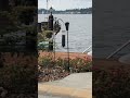 Squirrel 360 spinner - slow mo