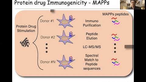 Model Informed Drug Development Approaches for Immunogenicity Assessments Workshop