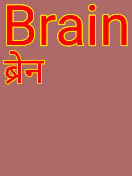 Brain Meaning In Hindi With Photo brain-meaning-in-hindi-with-photo