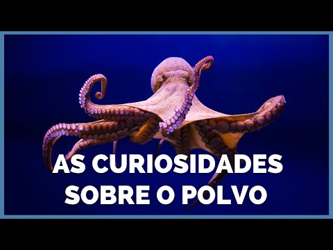 Vídeo: Qual é o significado de tentáculos na ciência?