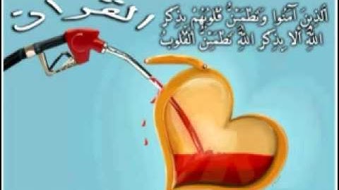 محمد شوكت .. سورة الإسراء (28-39)
