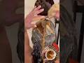 Natural Coffee Shampoo For Shiny Black Hair ✨| DIY Hair Hack #naturalshampoo #ytshorts #shorts