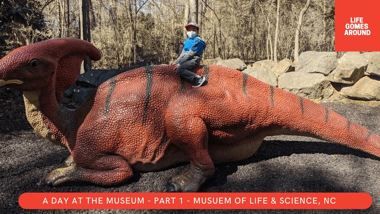 A DAY AT THE MUSEUM - PART 1 - THE MUSEUM OF LIFE AND SCIENCE DURHAM ...