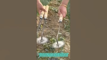Weeding Tool: Efficient Soil Cultivation Technique #innovationtools