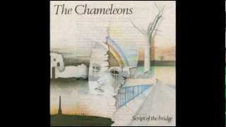 THE CHAMELEONS - A Person Isn&#39;t Safe Anywhere These Days