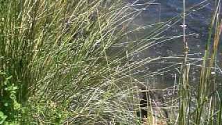 CIMG0885.AVI