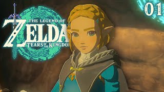 Epic Adventure Awaits! | Zelda Tears Of The Kingdom - EP01 In Hindi