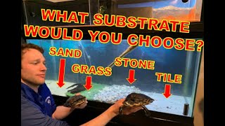 Best Turtle Tank Substrates? - Shelling Out the Basics