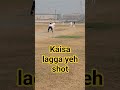 Cricketing Shot #cricket #trendingshorts #ytshorts #battingtips #cricketcardio