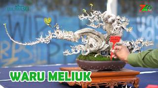ADA WARU LIUKAN EXTRIM DI KELAS PROSPEK