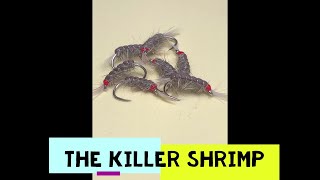 Tying the Grafham Killer Shrimp fly