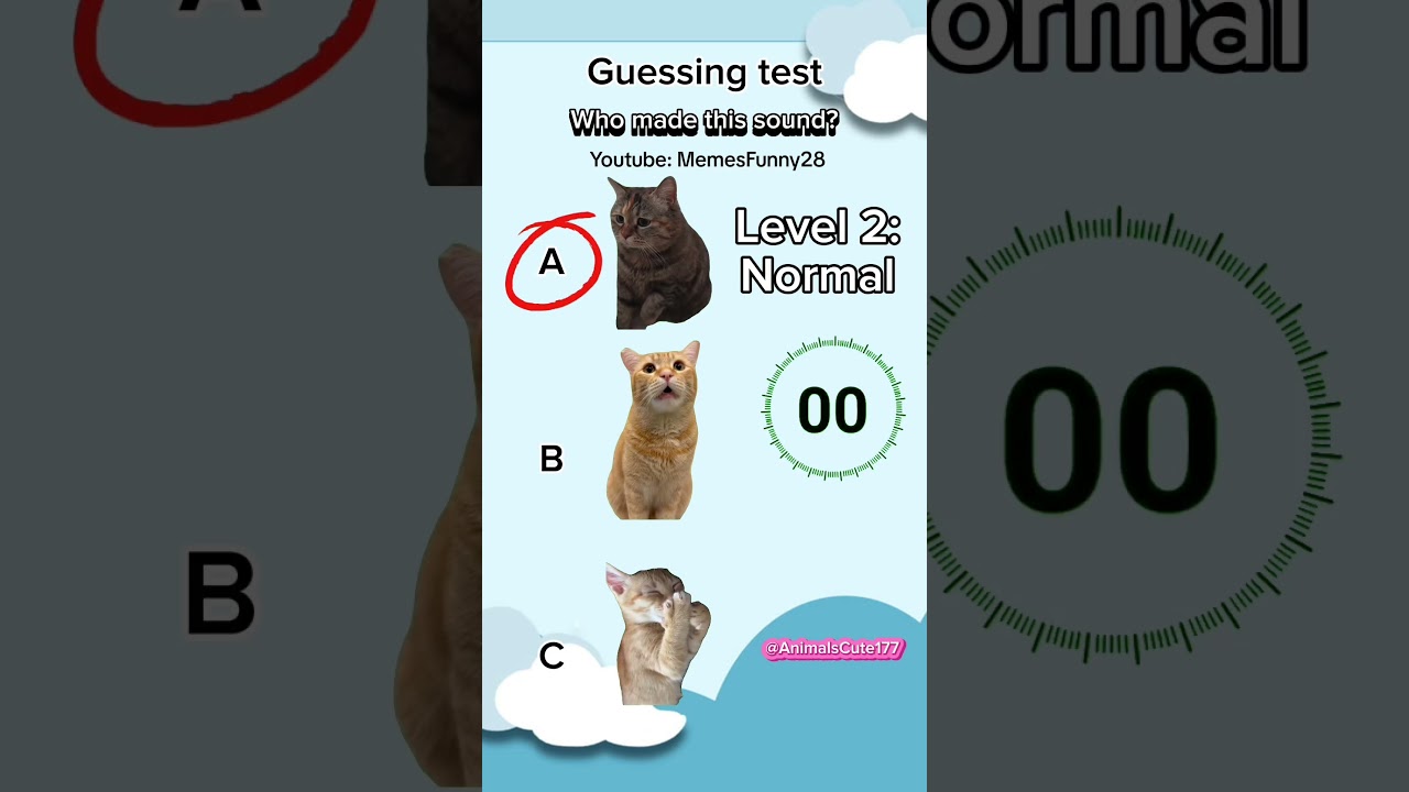 Guess memes cat by sound🐱. 