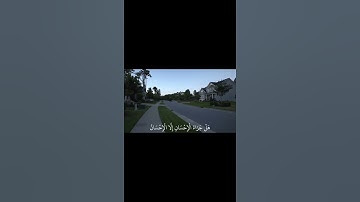 تلاوه من سوره الرحمن بصوت الشيخ ياسر الدوسري ❤️‍🩹.. #اكسبلور #المصحف #لايك