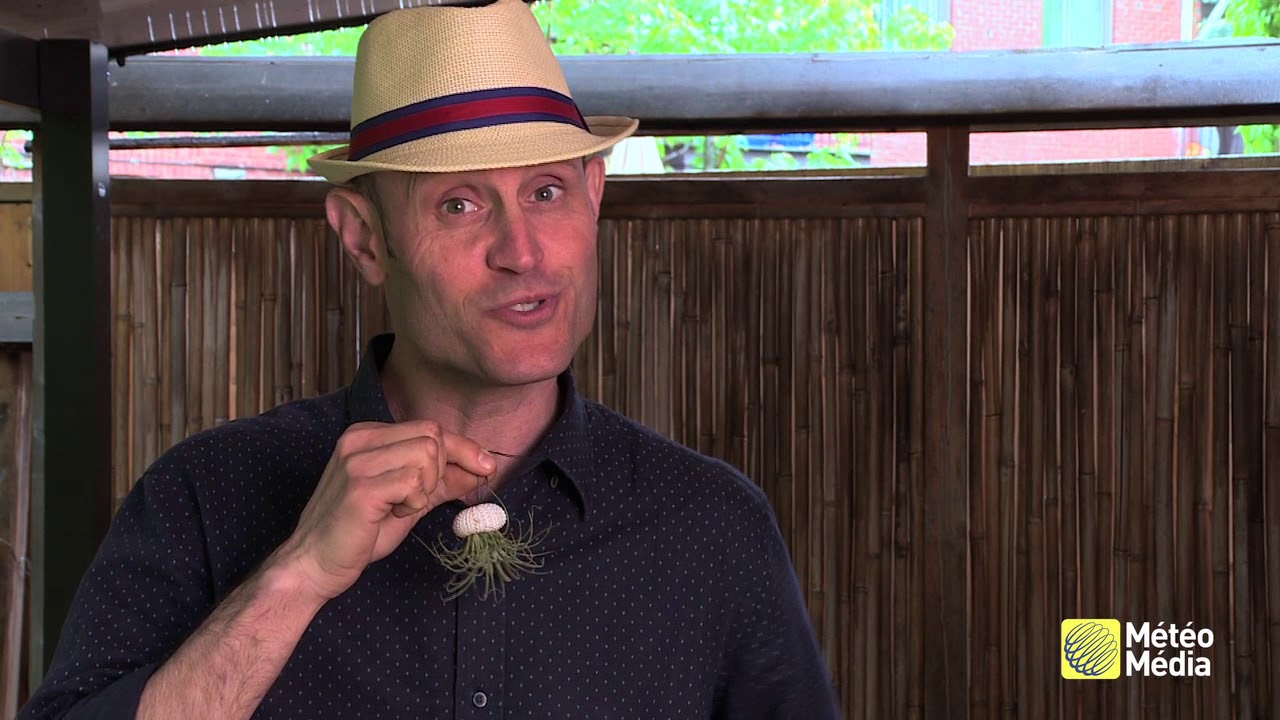 Albert Mondor, le Jardinier branché: colliers végétaux