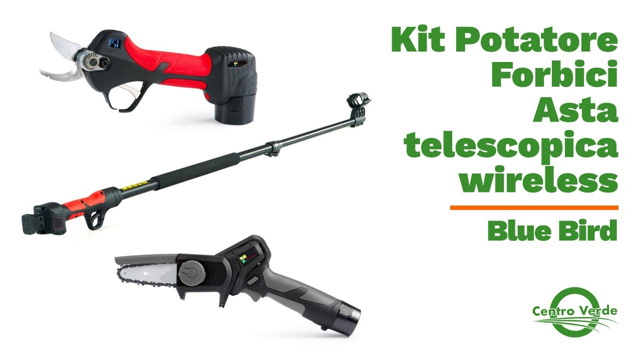 Kit Potatore, forbici, asta telescopica Blue Bird