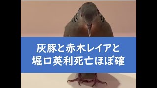暇空茜の配信のサムネイル画像