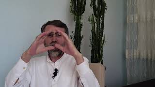 Özer Im Şı Ekim-Dikim Ve Aşılama Ne Zaman Yapılmalı?