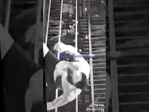 بويكا بويكا