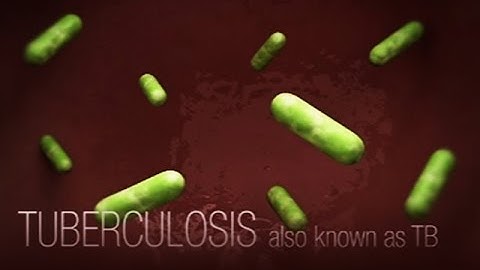 CDC Tuberculosis (TB) Transmission and Pathogenesis Video