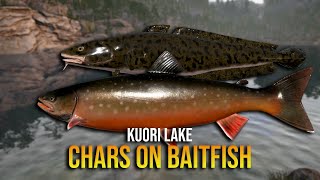 Kouri Lake - Chars On Baitfish - Russian Fishing 4