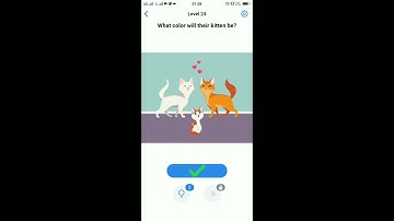 Easy Game Level 24 || What color will thier kitten be
