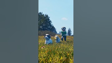 NEW NOGLA OUTRO 💚