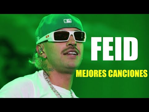 Feid Mix Exitos  2024 - LAS MEJORES CANCIONES DE Feid - Lo Mas Nuevo  2024