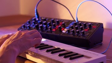 Behringer Model D Lead Improvisation