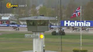 Vidéo de la course PMU PRIX GILDAS MESLOIS