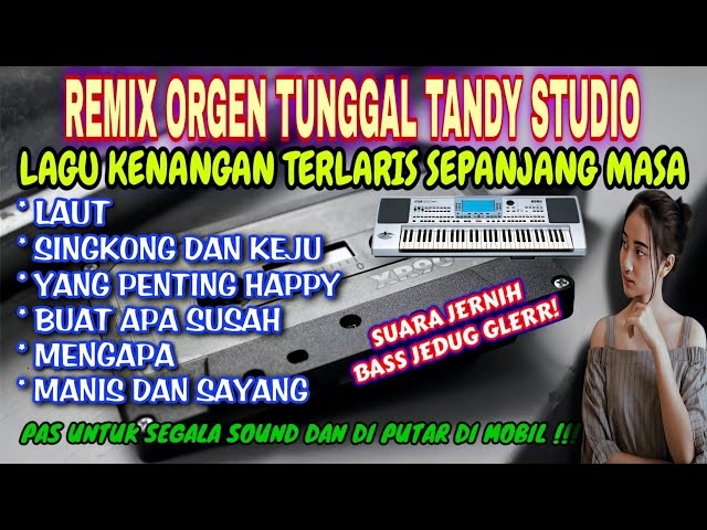 REMIX ORGEN TUNGGAL TANDY STUDIO - LAGU KENANGAN TERLARIS SEPANJANG MASA - Laut, Singkong dan keju class=