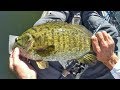 6 over 20"! Epic Day Of Kayak Fishing Smallmouth On Beds