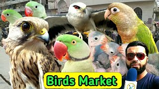 Lalukhet Birds Market Sunday Video Latest Update Hindi\/Urdu