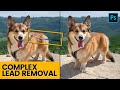 Photo Editing with Photoshop: Removing a Lead