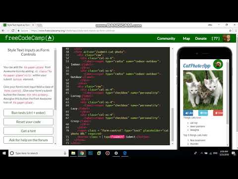Style Text Inputs as Form Controls free code camp  Dani