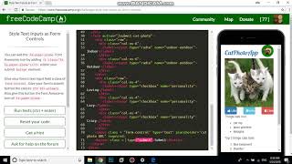 Style Text Inputs as Form Controls free code camp  Dani