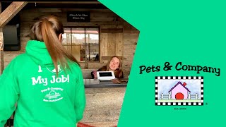 Pets and Company: Dog Training, Spa, Boarding in Chesterfield, Missouri