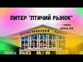 Птичий рынок Санкт-Петербург , аквариумный дворик , Полюстровский рынок.Апрель 2021 года( 1-я часть)