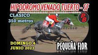 PEQUEÑA FLOR: HIPODROMO VENADO TUERTO, SANTA FE (04-06-2023)