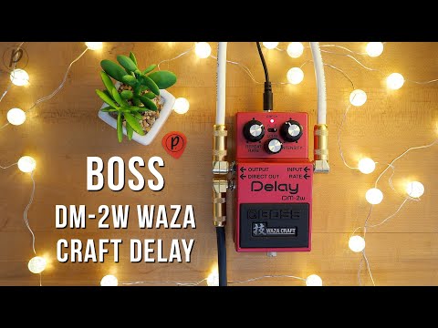 Педаль аналоговий ділей для електрогітари BOSS DM-2W DELAY, видео 1