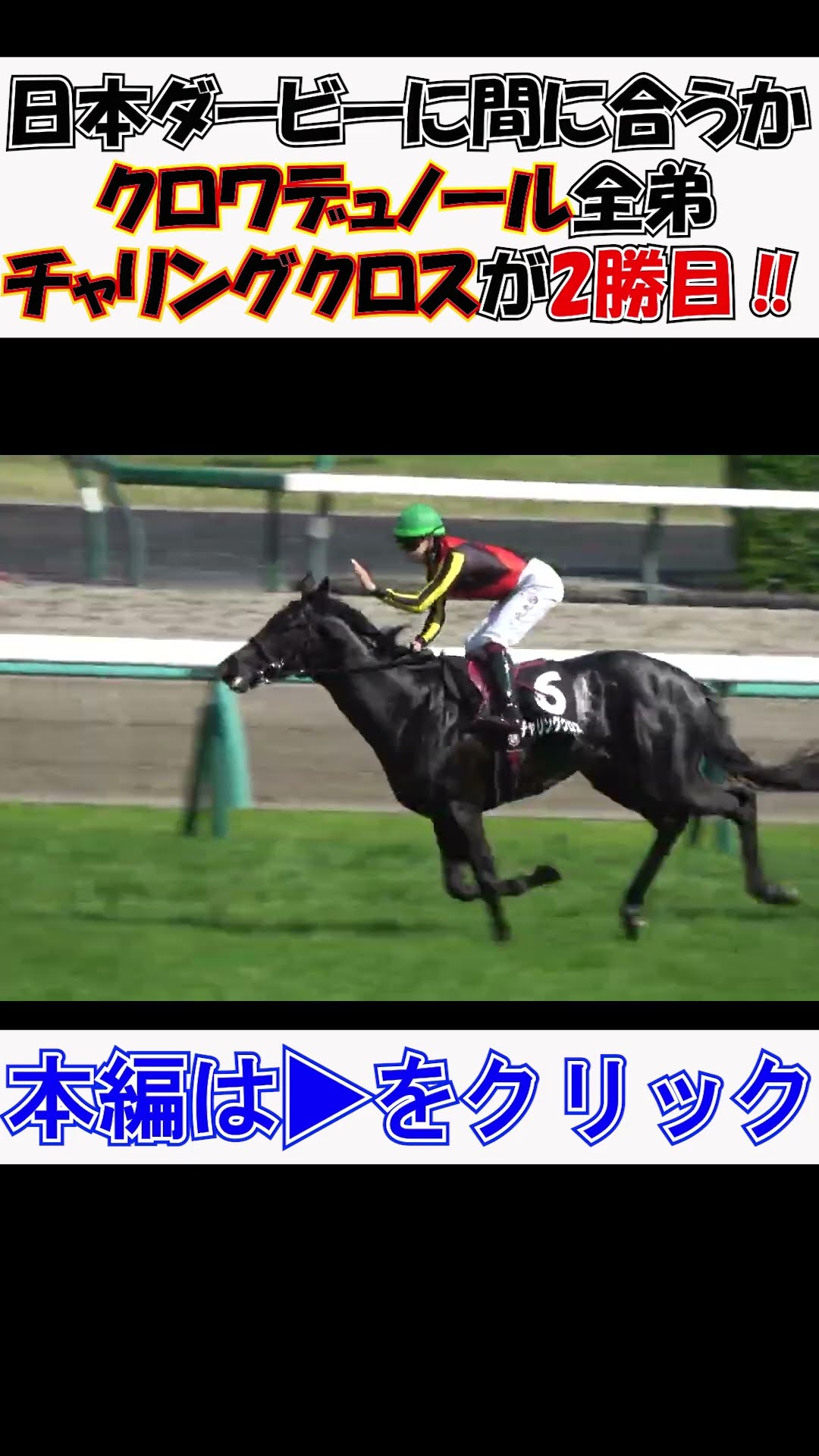 PromotionRace Yamato Prize 2026 #CroixDunord's full brother