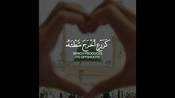 أعذب تلاوة بصوت سعد الغامدي (محمد رسول الله والذين آمنوا معه) ❤ حالات واتس اب قران