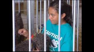 New Barn Greets Visitors At Anoka County Fair