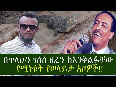 ቪዲዮ: አዞዎች እንዴት እንደሚራቡ