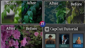 Easy Professional Colour Grading in CapCut | Top 3 Best Filter | CapCut Tutorial | Cinematic look | 