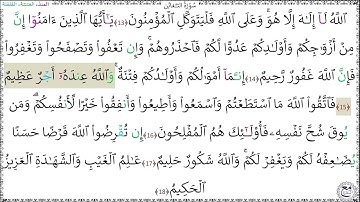 سورةُ التغابن (13 - 18) علي الحذيفي