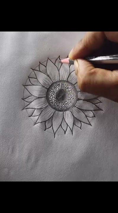 Sunflower 🌻Art ideas #flower🌻 #art #drawing #ful #beautiful #pencil #sketch #creative #practice