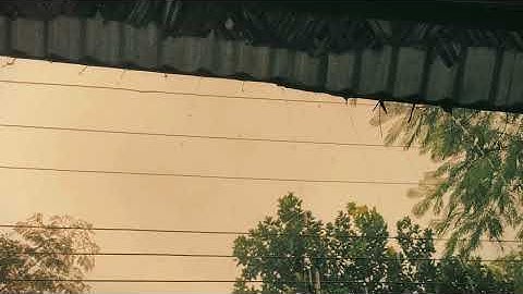 Lost in the sound of October rain. #CinematicVideo #RainVibes #AestheticVideo #RainAmbience 