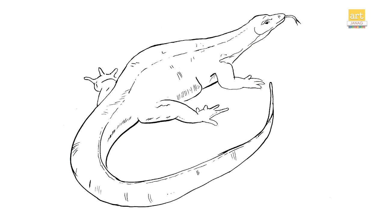 How To Draw A Monitor Lizard II Monitor Lizard Drawing Easy II Part 01 How To Draw A Monitor Lizard II Monitor Lizard Drawing Easy II Part 01